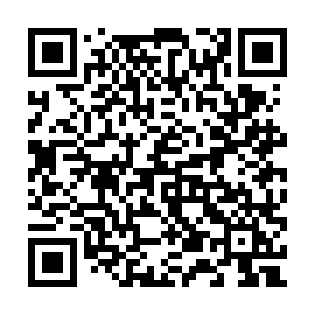 QR code for 653FLI