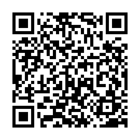 QR code for 655ICR