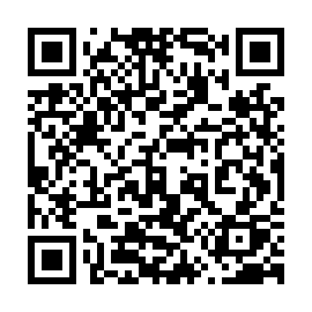 QR code for 655LSP