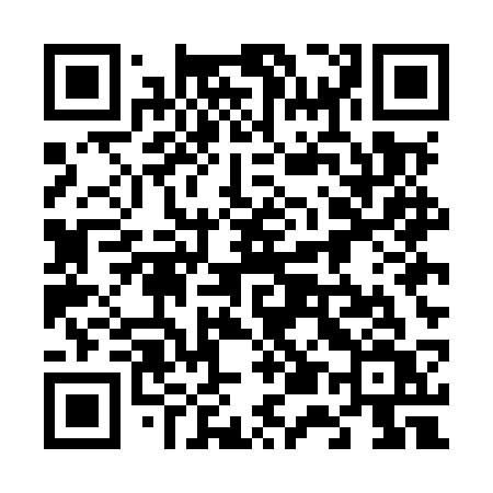 QR code for 655MSV