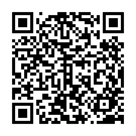 QR code for 655PHO