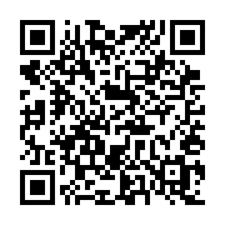 QR code for 655SEM