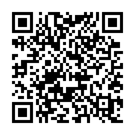 QR code for 655STI