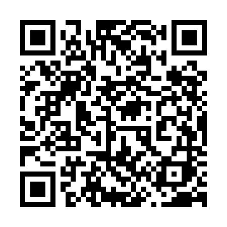 QR code for 665QNI