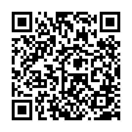QR code for 667PNR