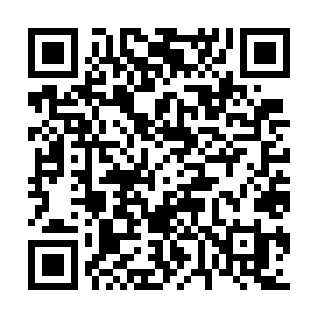 QR code for 667WLI