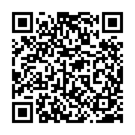 QR code for 668XIS