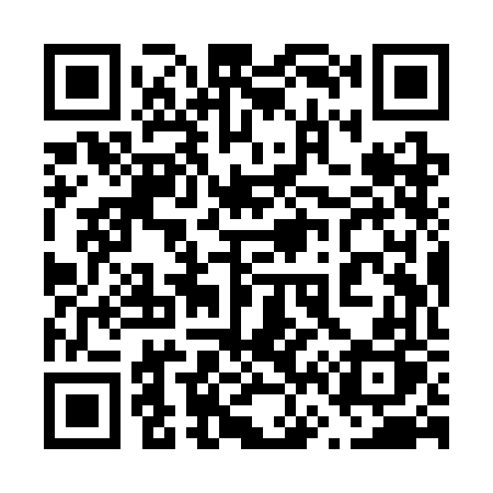 QR code for 669SFP