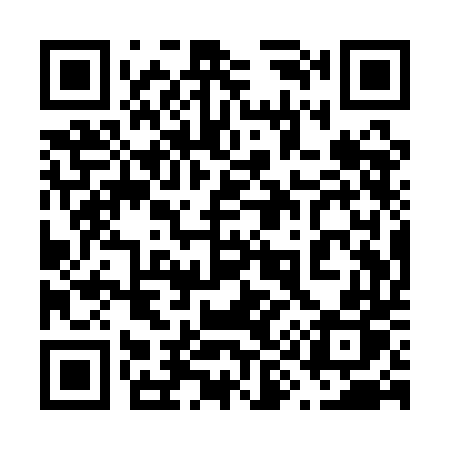 QR code for 691QDP