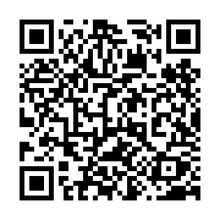 QR code for 696TOY