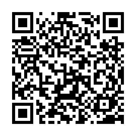 QR code for 699SEM