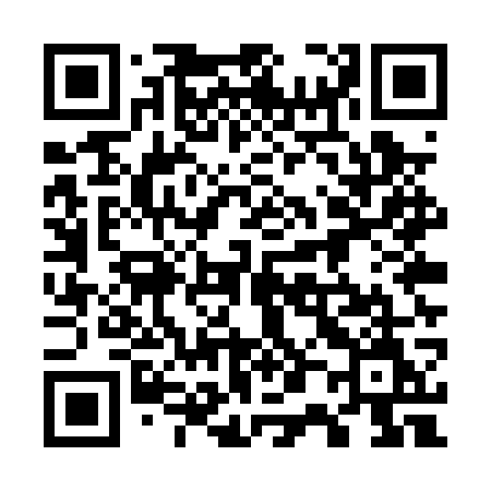 QR code for 705PWM