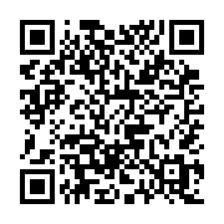 QR code for 729SDM