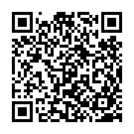 QR code for 729TIN