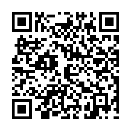 QR code for 737PSE