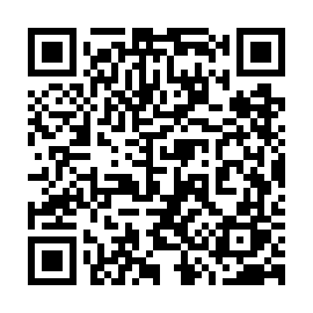 QR code for 737WFP