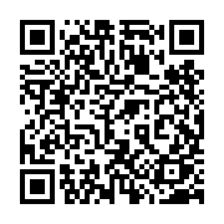 QR code for 738DIP