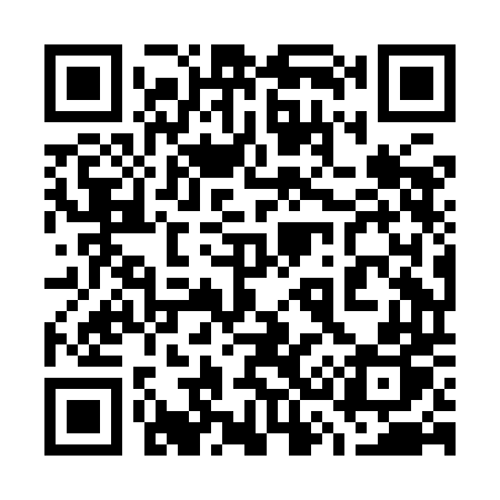 QR code for 738IDP
