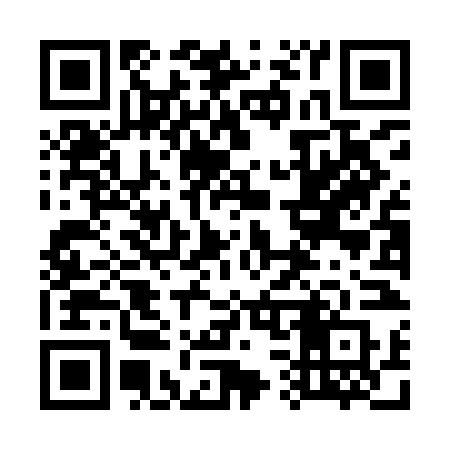 QR code for 738INR