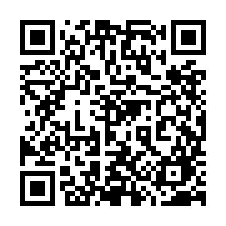 QR code for 738OIG