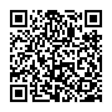 QR code for 785BIZ