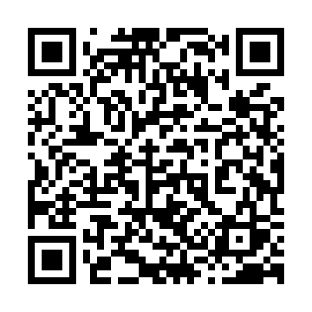 QR code for 838MSS