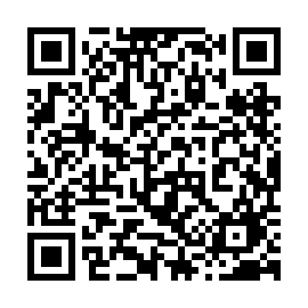 QR code for 838RAG