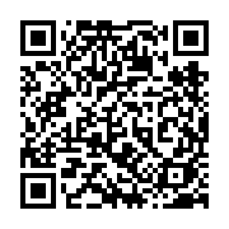 QR code for 838VEH