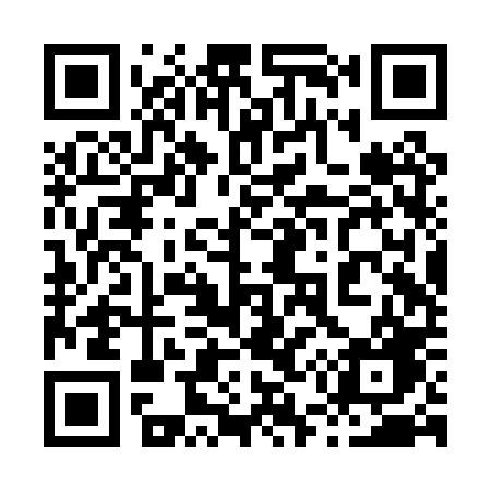 QR code for 852PPG