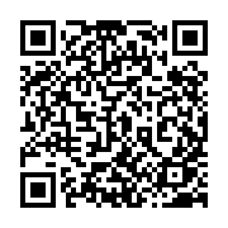 QR code for 868AHP