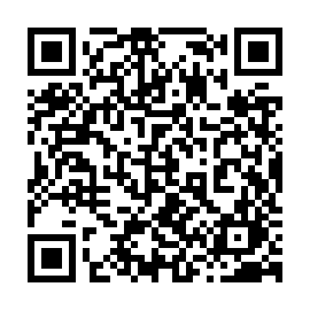 QR code for 869ZZL
