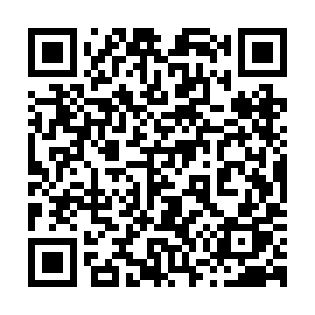 QR code for 875RIP