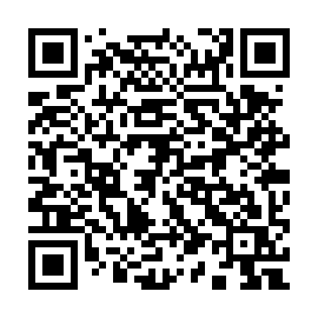 QR code for 913TYS