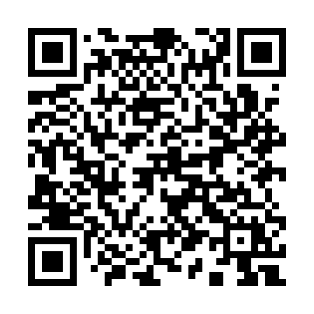 QR code for 919AUX