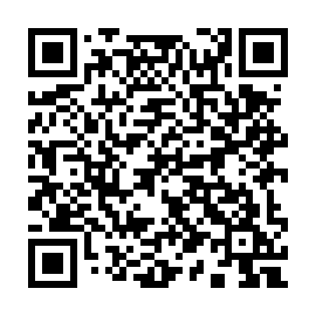 QR code for 919DYG