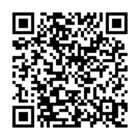 QR code for 919ICE