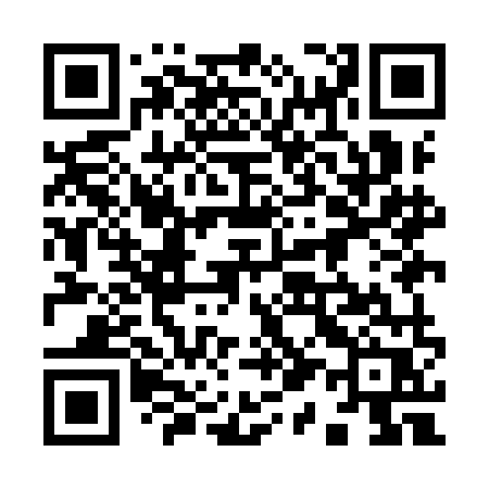 QR code for 919IMR