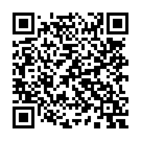 QR code for 919LZU