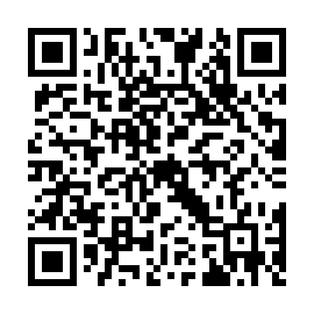 QR code for 919PSG