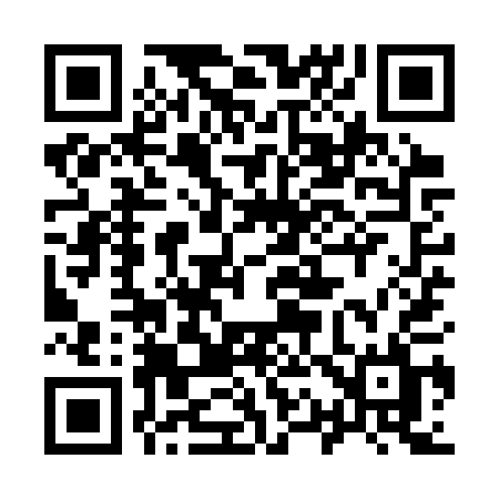 QR code for 919SQL