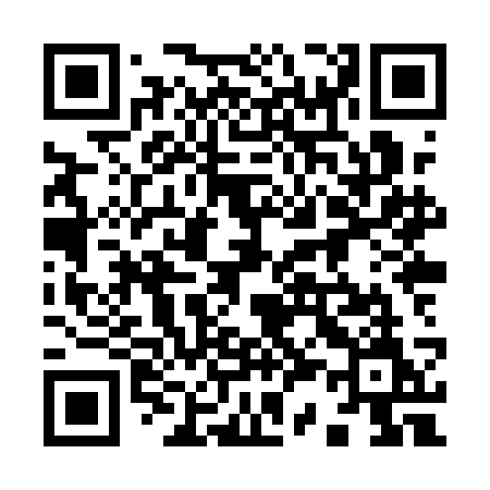 QR code for 938QCM