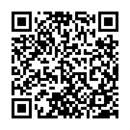 QR code for 938SAT
