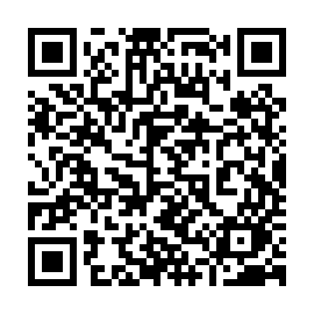 QR code for 942PUO