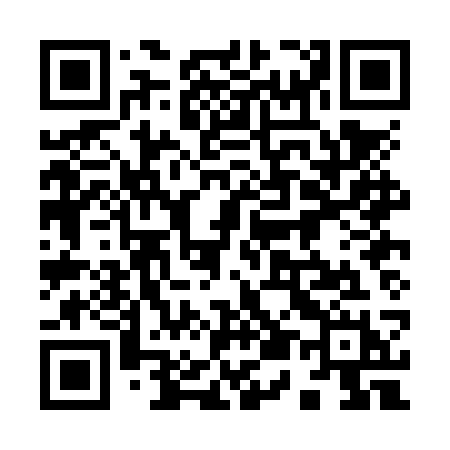 QR code for 950NSH