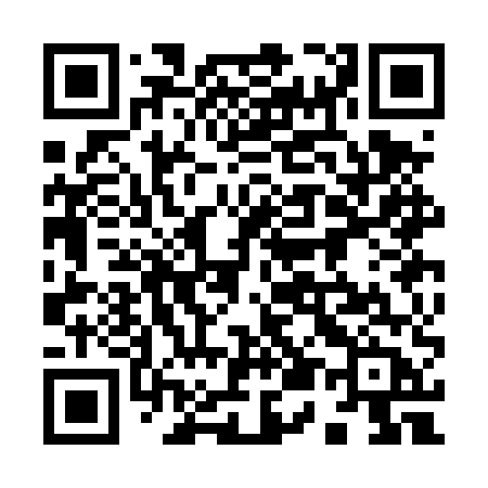 QR code for 953DUB