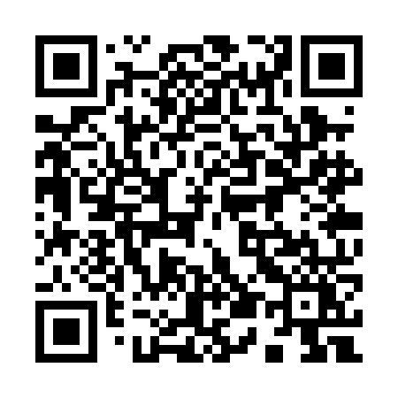 QR code for 953PNY