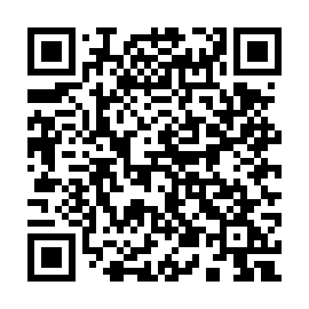 QR code for 955DWG