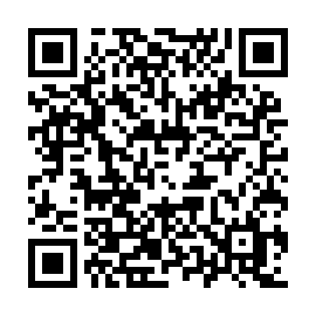 QR code for 955ICL