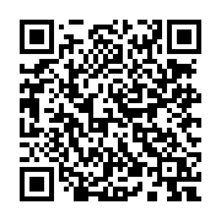 QR code for 955LBQ