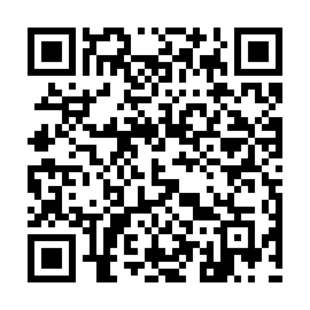 QR code for 955SDG